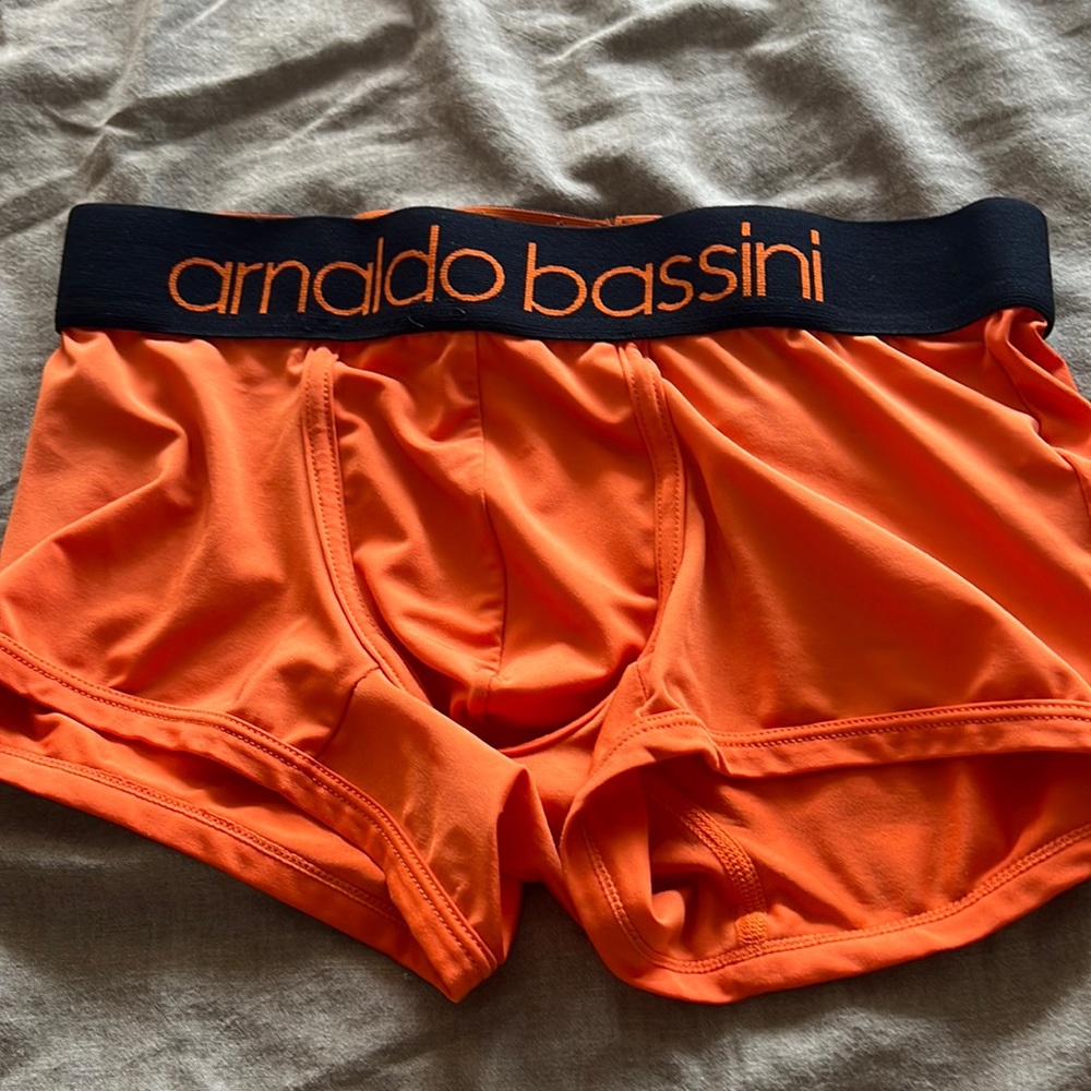 Arnaldo Bassini mens trunks